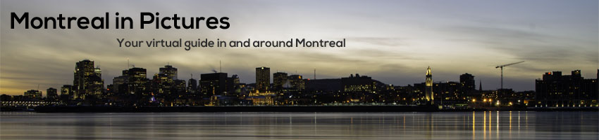 Montreal In Pictures